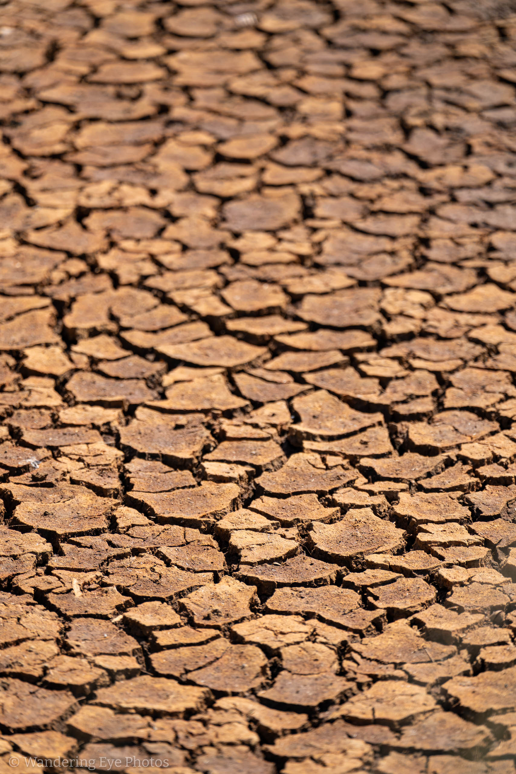 07.30 13.25.31   DSC09976